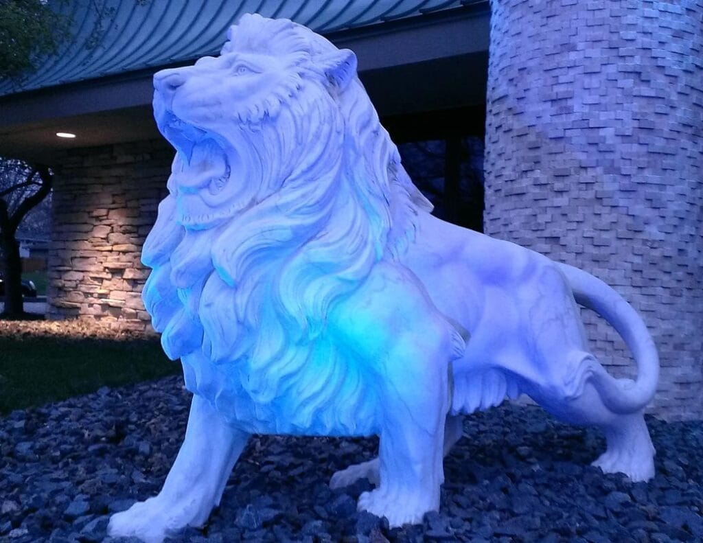 Nomis the Lion